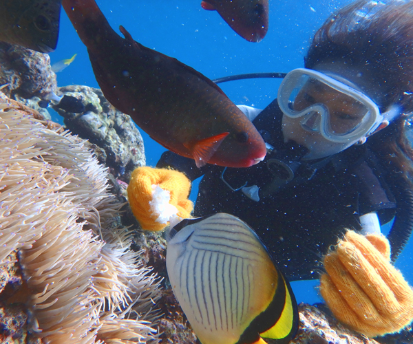 お魚への餌付け無料